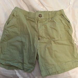 Chubbies Brand Light Green XL shorts